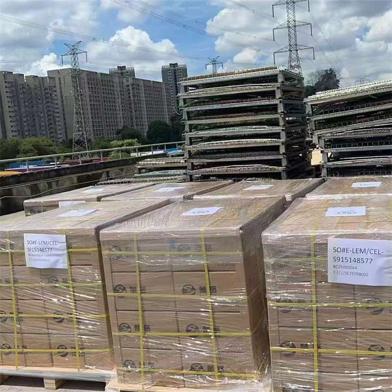 立山区探索高陵区进仓物流专线运输的多元世界