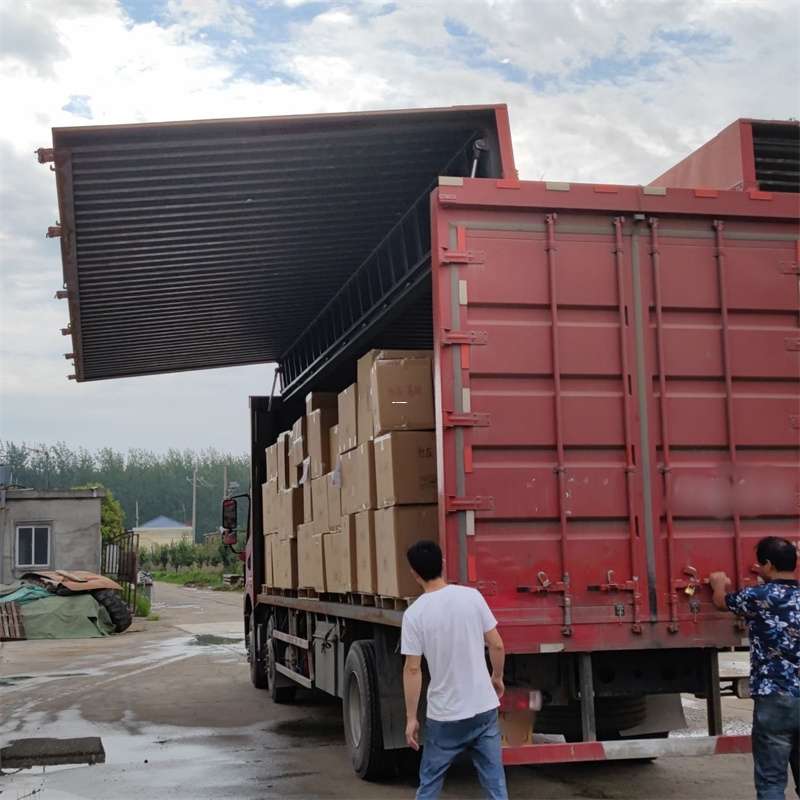 立山区扎囊县：物流专线的高效货运之旅